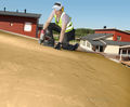 Spruce MouldGuard plywood panel