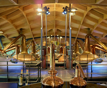 Kerto LVL used in an undulating wooden roof structure