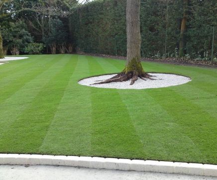 Classic Turf – fine-leaved, durable all-round turfgrass