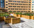 Raised planter beds for Angel Lane student accommodation 8