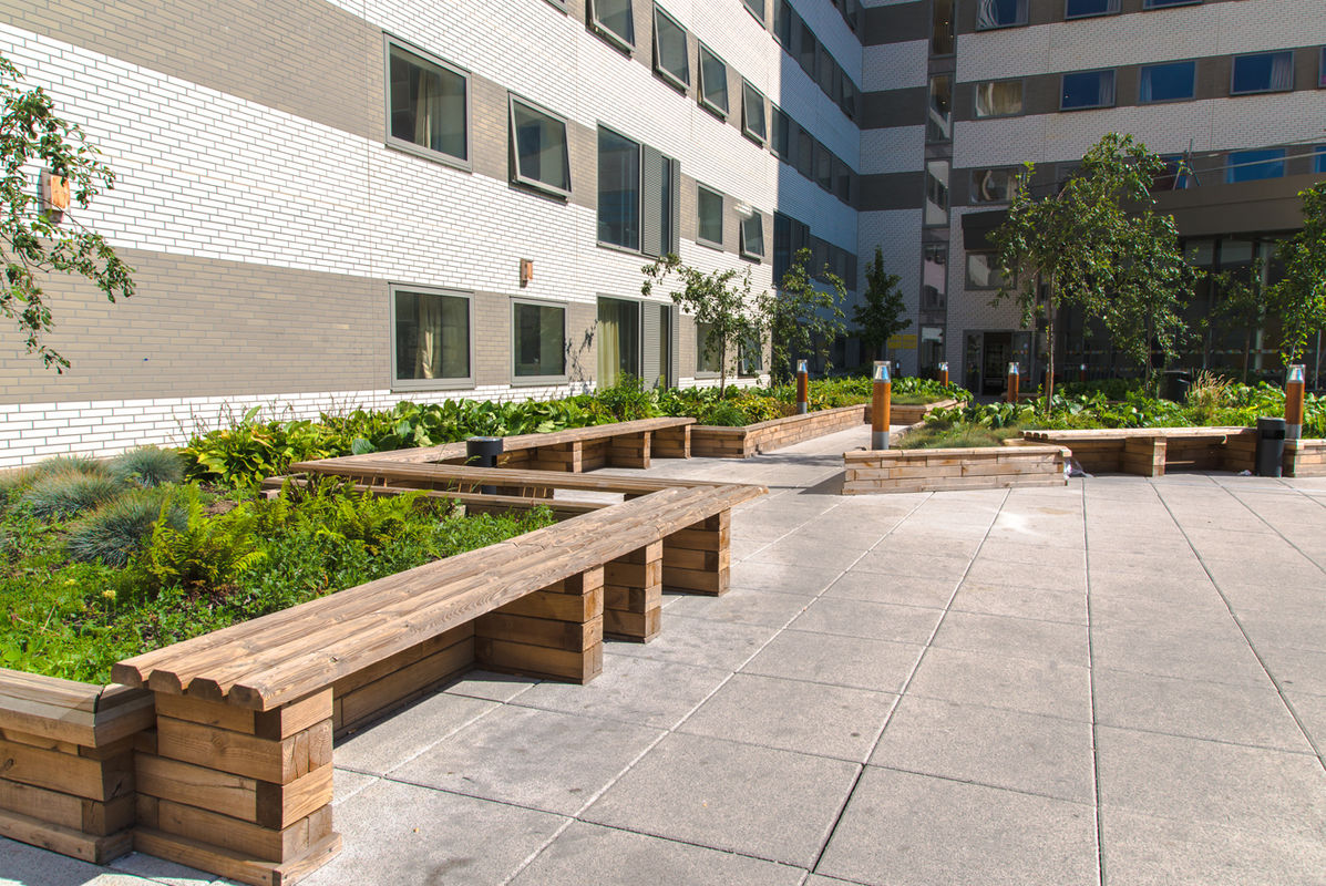 Images for Raised planter beds for Stratford student