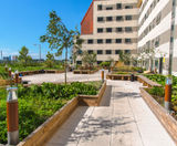 Raised planter beds for Stratford student accommodation - on this page