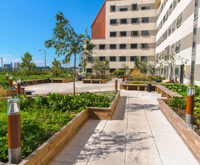 Raised planter beds for Stratford student accommodation