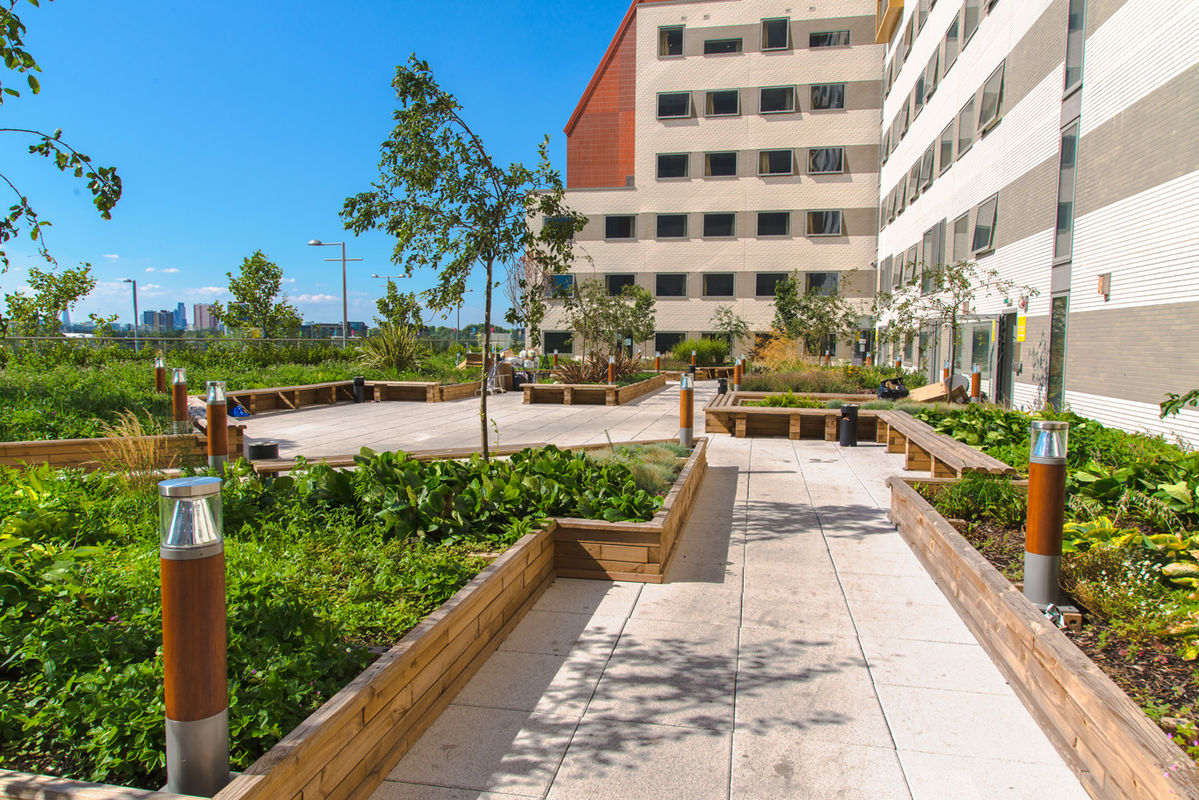 Images for Raised planter beds for Stratford student