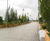 Bespoke timber planters for Westfield shopping centre 6