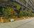 Bespoke timber planters for Westfield shopping centre 7