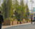 Bespoke timber planters for Westfield shopping centre 3