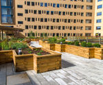 WoodBlocX™ modular raised planter beds