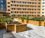 WoodBlocX™ modular raised planter beds - on this page