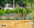 New Dundee waterfront gardens feature WoodblocX planters 5