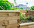 New Dundee waterfront gardens feature WoodblocX planters 9