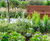 New Dundee waterfront gardens feature WoodblocX planters 11
