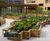 WoodBlocX™ raised timber planters for roof gardens 4
