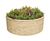 Ben Mor Planter - Scots pine timber round outdoor tree planter 1