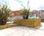 Replacement planters for Manchester Royal Infirmary 0