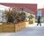 Replacement planters for Manchester Royal Infirmary 1