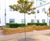 Replacement planters for Manchester Royal Infirmary 6