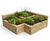 Pre-designed timber raised bed kits - modular timber garden bed for outdoor 1