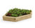Pre-designed timber raised bed kits - modular timber garden bed for outdoor 6