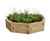 Pre-designed timber raised bed kits - modular timber garden bed for outdoor 8