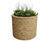Pre-designed timber raised bed kits - modular timber garden bed for outdoor 11