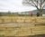 New 'Health and Wellbeing Garden' at RHS Malvern 2