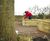 New 'Health and Wellbeing Garden' at RHS Malvern 4