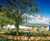New 'Health and Wellbeing Garden' at RHS Malvern 0