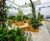 WoodBlocX bespoke planters - Royal Berkshire NHS 4