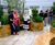 WoodBlocX bespoke planters - Royal Berkshire NHS 6