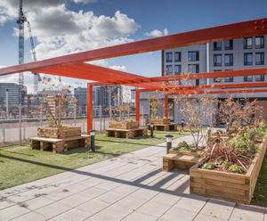 WoodblocX bench planters for Staniforth House