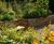 Raised planting beds for Saughton Park redevelopment 3