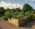 Raised planting beds for Saughton Park redevelopment 4