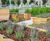 WoodBlocX™ modular timber street furniture 2
