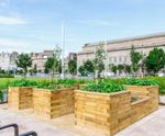 Suilven timber tree planter with integrated seating