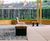 Modular raised planters and seats for luxury development 0