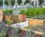 Bespoke raised planter design 6