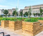 Bespoke raised planter design