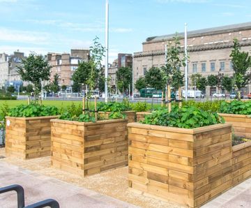 Bespoke raised planter design