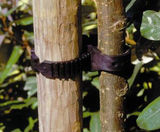 Super Soft - flexible tree ties - on this page