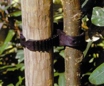 Super Soft - flexible tree ties