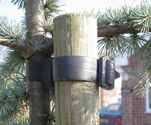 Plastic buckled belt tree tie