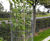 Steel mesh tree guards 0