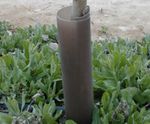 Strimmer Guard - protection for the bases of young trees