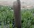 Strimmer Guard - protection for the bases of young trees 0