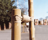 NATURETIE - eco-friendly, biodegradable tree tie - on this page