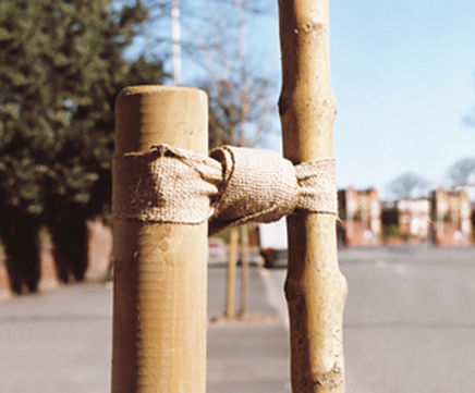 NATURETIE - eco-friendly, biodegradable tree tie