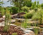 Pond planning service