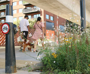 AquaCell Core R - smart rain garden in Central London 