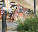 AquaCell Core R - smart rain garden in Central London